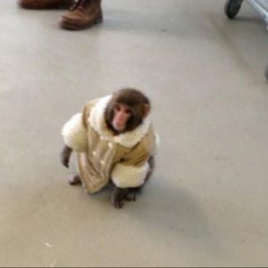 Meet your Posher, Michael